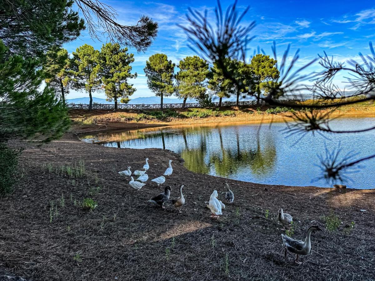 Popilia Country Resort Pizzo  Ngoại thất bức ảnh